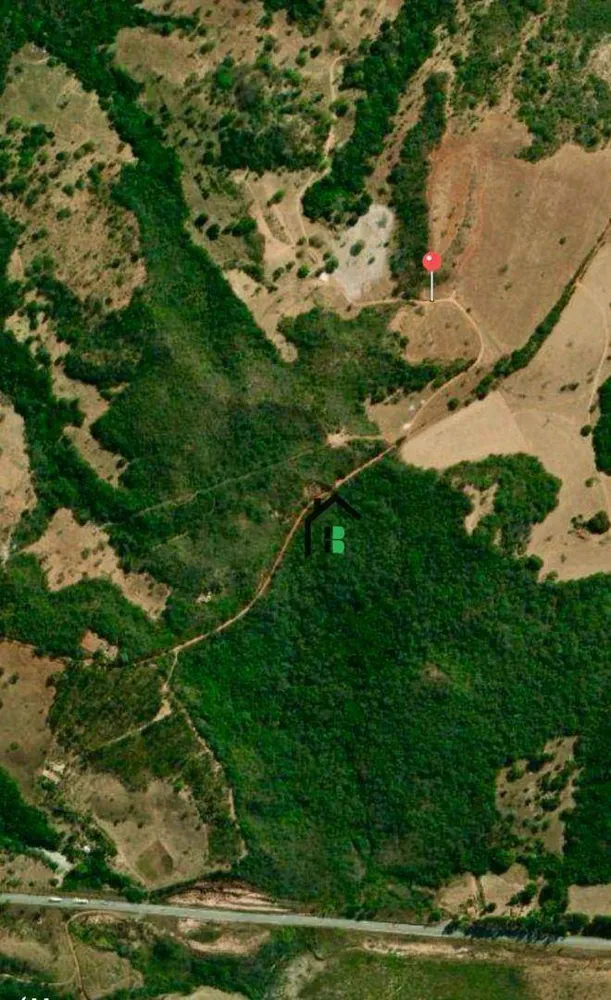 Fazenda, 133 hectares - Foto 9