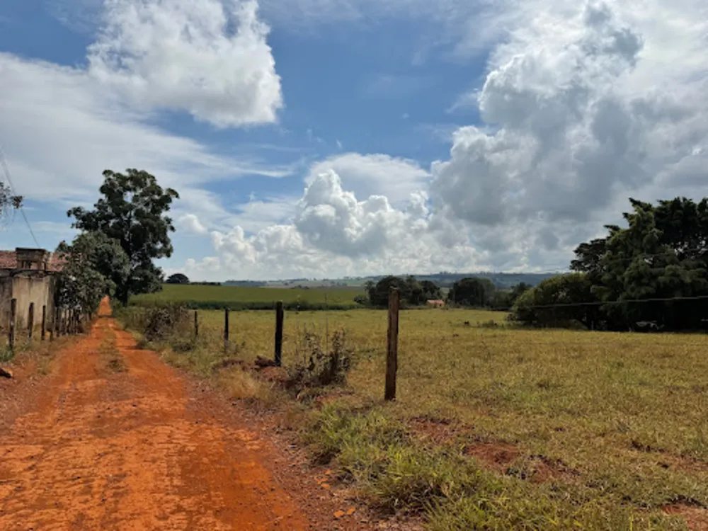 Fazenda, 47 hectares - Foto 10