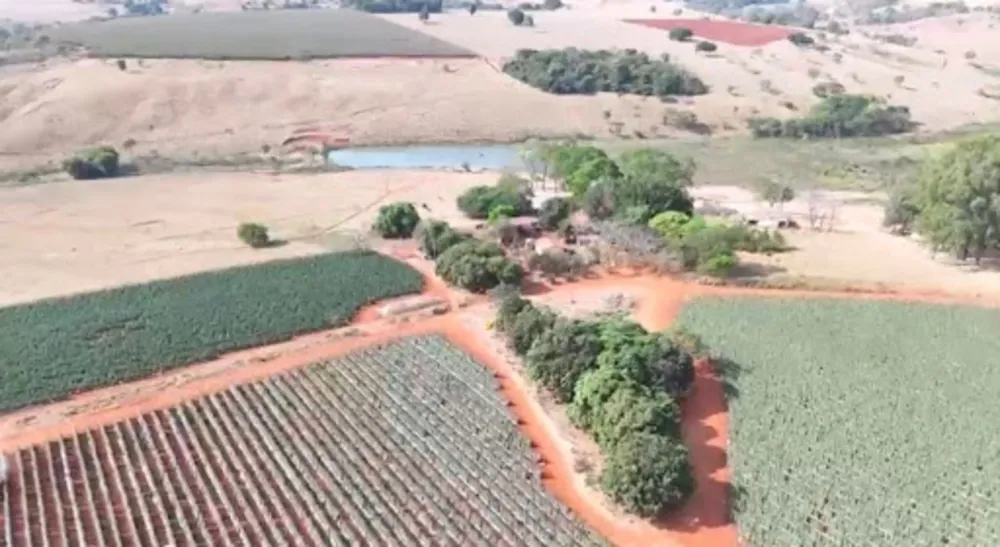 Fazenda, 47 hectares - Foto 3