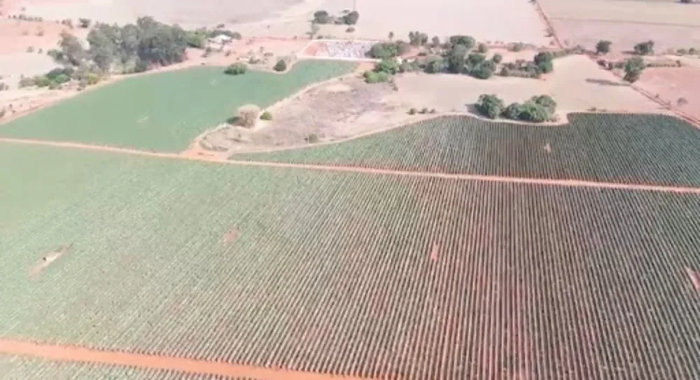 Fazenda, 47 hectares - Foto 6