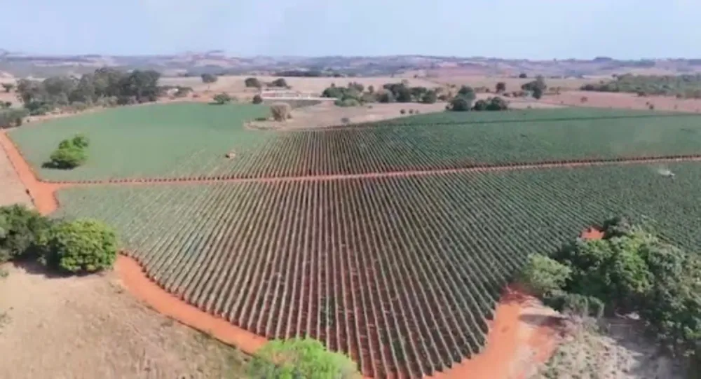 Fazenda, 47 hectares - Foto 5
