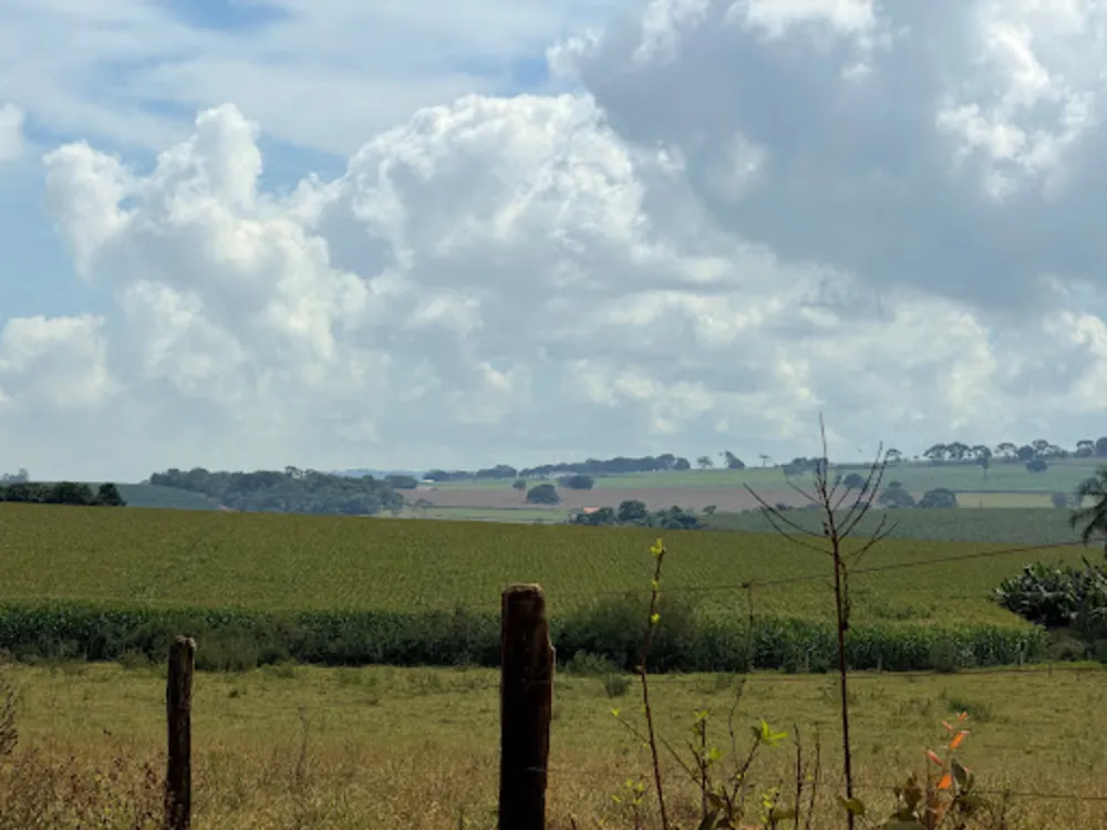 Fazenda, 47 hectares - Foto 9