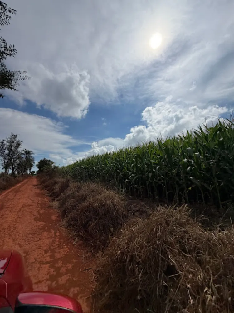 Fazenda, 47 hectares - Foto 8