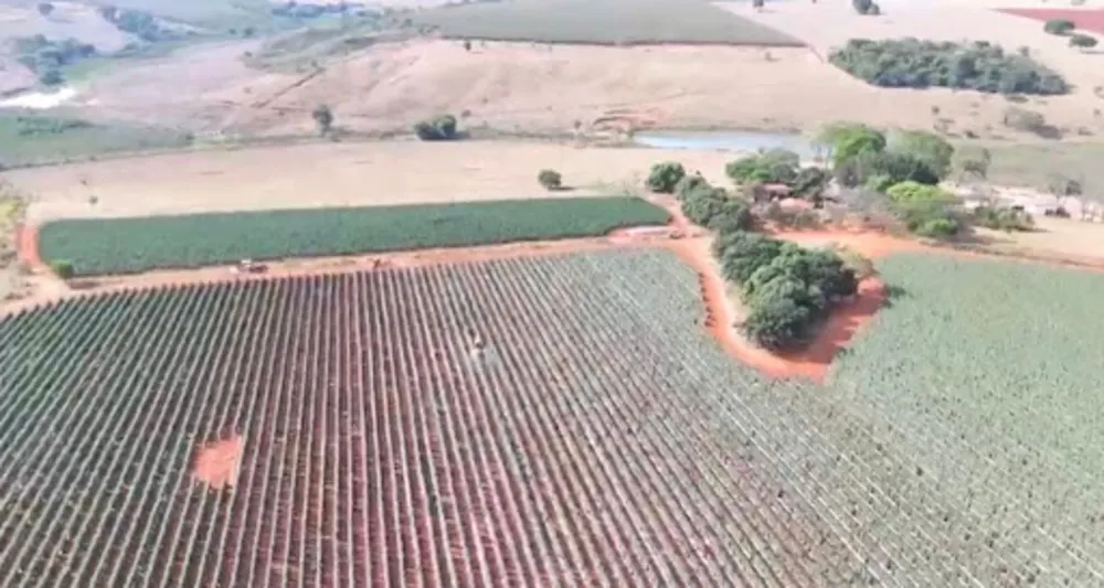 Fazenda, 47 hectares - Foto 4