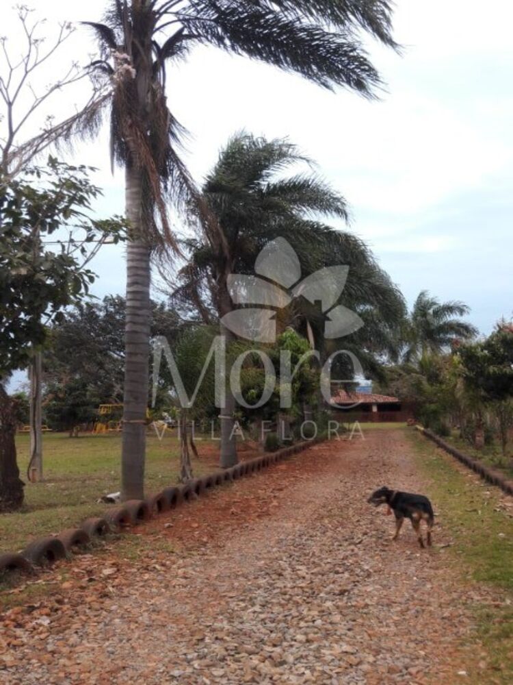 Chácara, 4 quartos - Foto 6