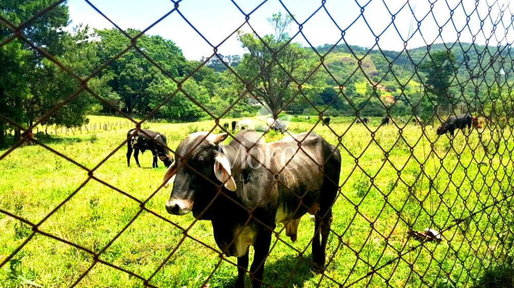 Sítio, 2 quartos, 16 hectares - Foto 25