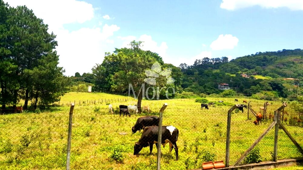 Sítio, 2 quartos, 16 hectares - Foto 13