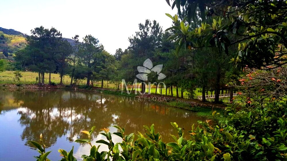 Sítio, 2 quartos, 16 hectares - Foto 6