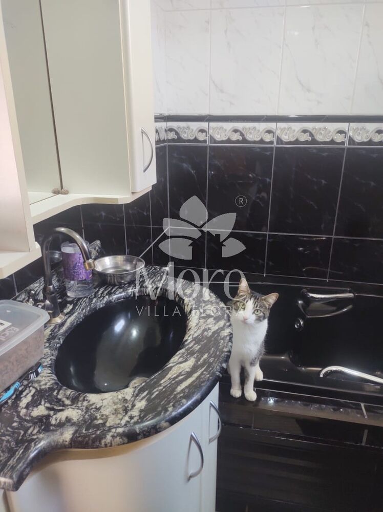 Casa de Condomínio, 3 quartos - Foto 13