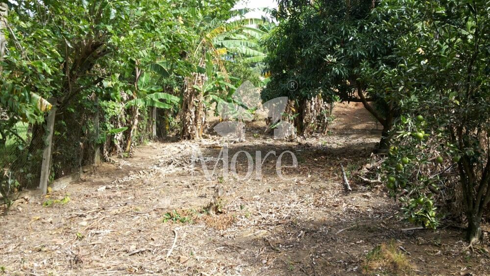 Terreno, 1770 m² - Foto 5