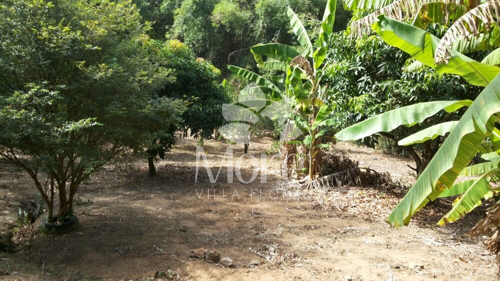 Terreno, 1770 m² - Foto 1