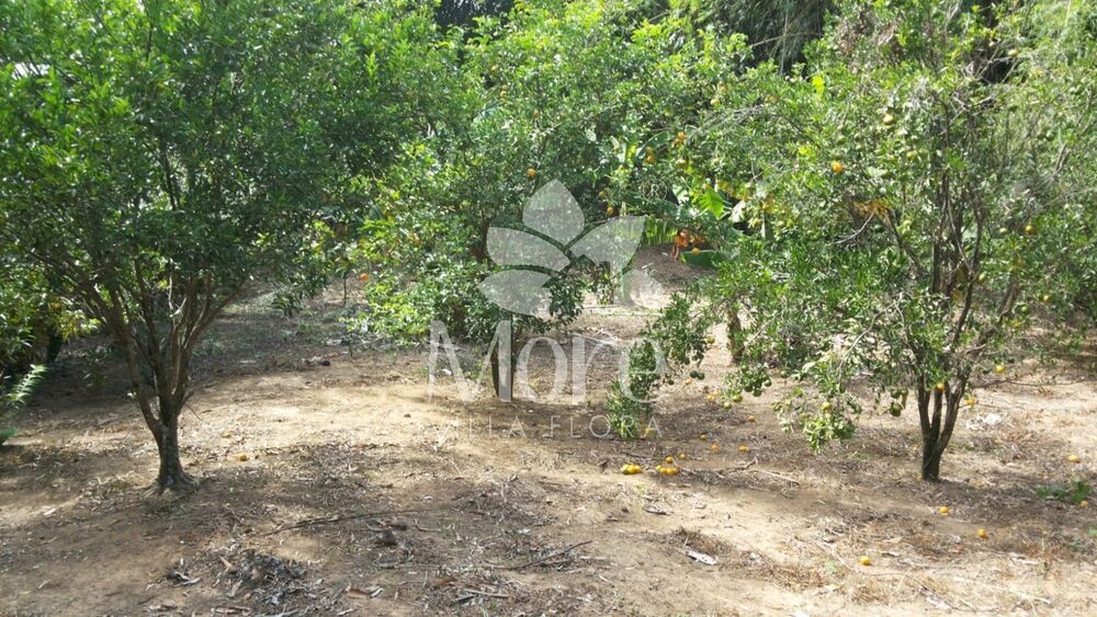 Terreno, 1770 m² - Foto 7