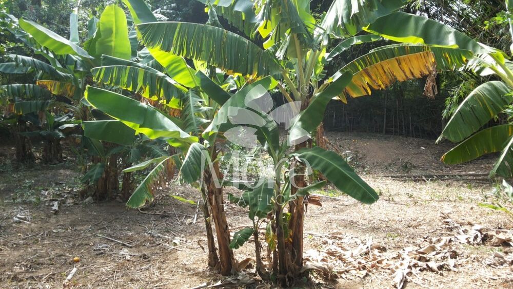 Terreno, 1770 m² - Foto 4