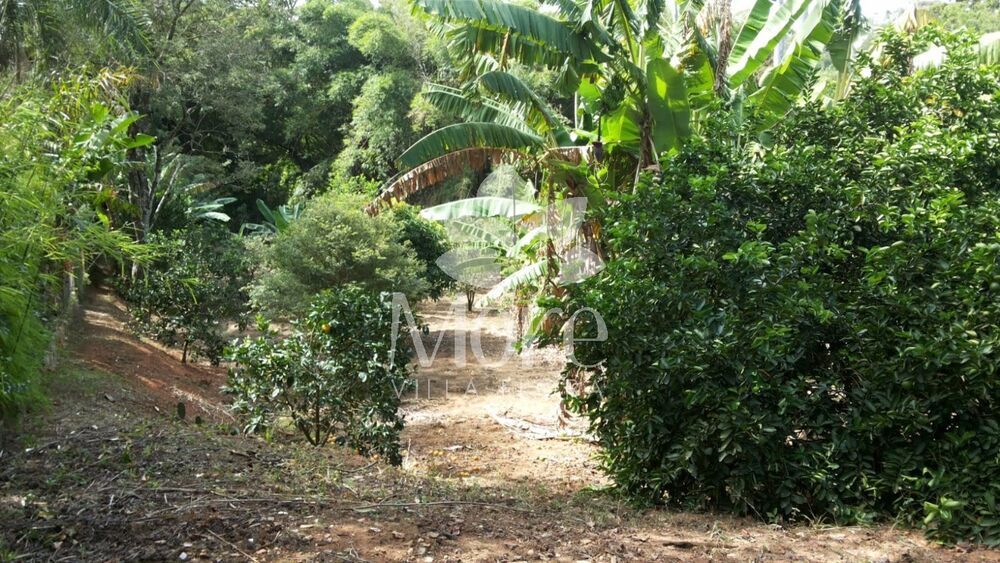 Terreno, 1770 m² - Foto 6