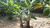 Terreno, 1770 m² - Foto 4