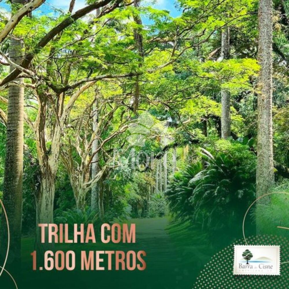 Terreno, 600 m² - Foto 19