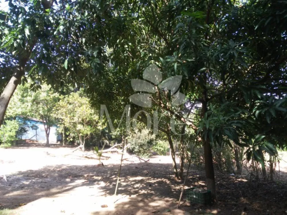 Chácara, 2 quartos, 1200 m² - Foto 5