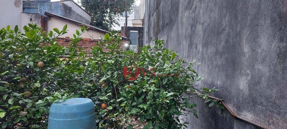 Terreno, 150 m² - Foto 5
