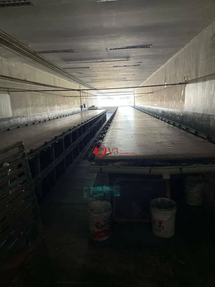 Prédio Inteiro, 700 m² - Foto 10