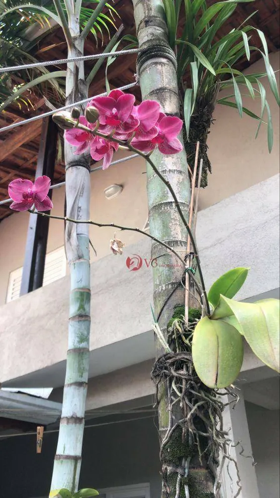 Casa, 4 quartos, 390 m² - Foto 12