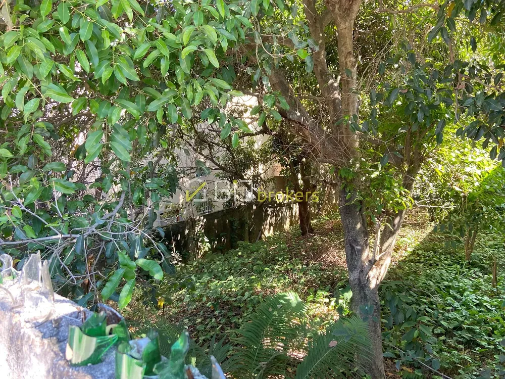 Terreno, 300 m² - Foto 7