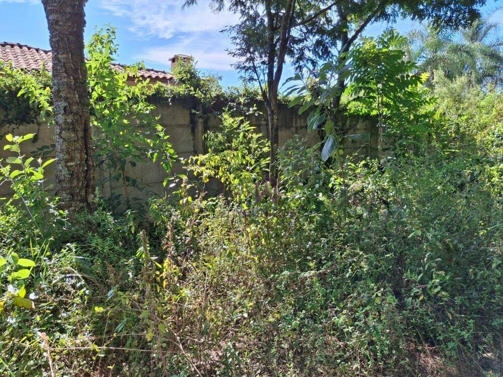 Terreno, 1480 m² - Foto 7