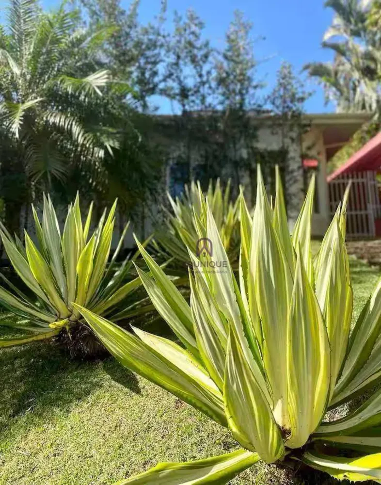 Casa, 4 quartos, 250 m² - Foto 5