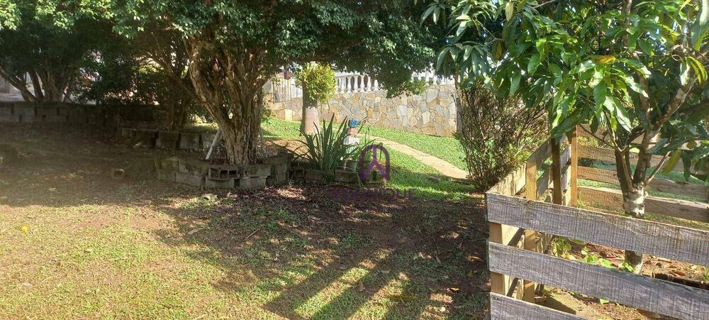 Chácara à venda com 2 quartos, 3915M2 - Foto 4