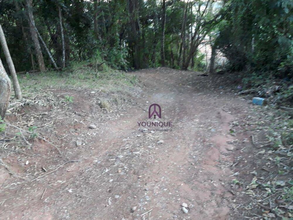 Terreno, 590 m² - Foto 4