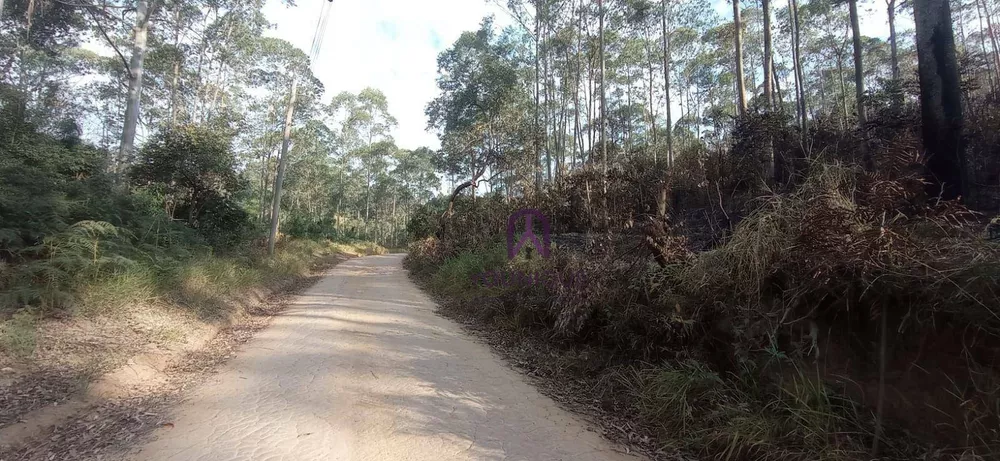Sítio, 27 hectares - Foto 1