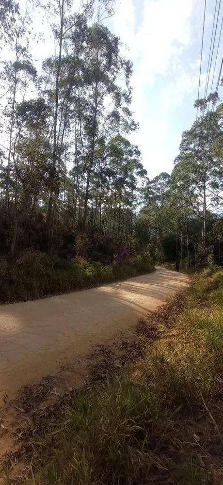 Sítio, 27 hectares - Foto 3