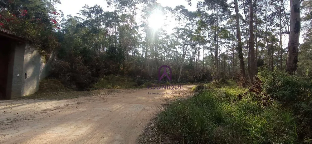 Sítio, 27 hectares - Foto 13