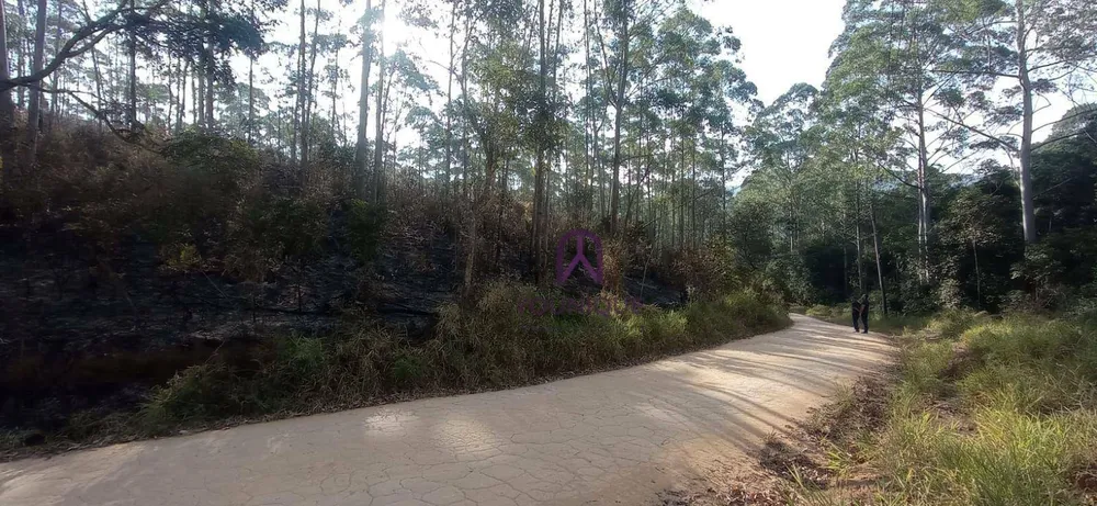 Sítio, 27 hectares - Foto 16