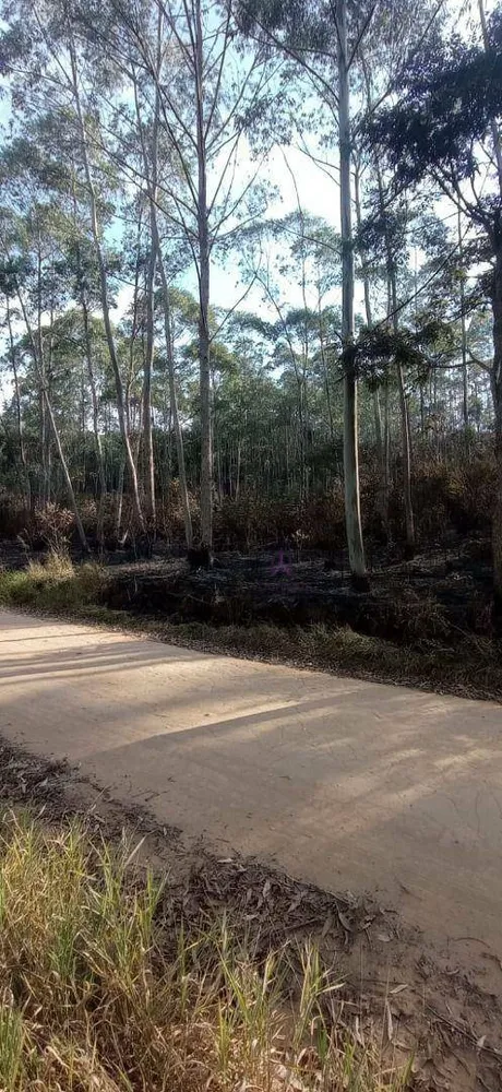 Sítio, 27 hectares - Foto 17
