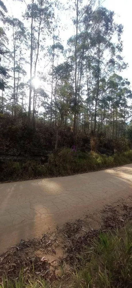 Sítio, 27 hectares - Foto 4
