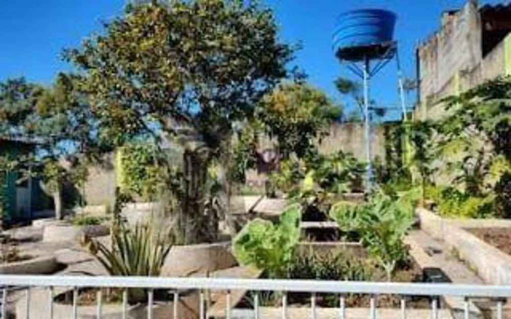 Chácara, 5 quartos, 1000 m² - Foto 2