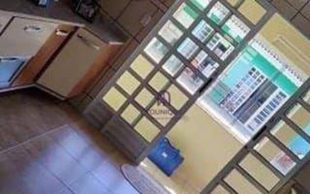 Chácara, 5 quartos, 1000 m² - Foto 3