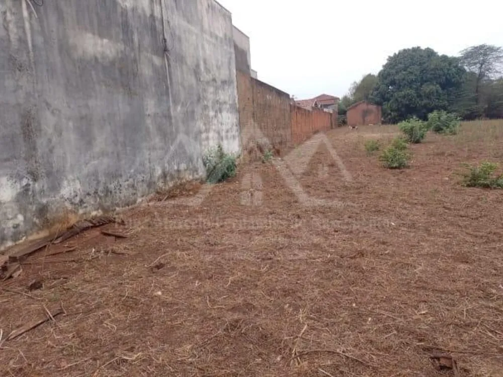 Chácara, 4 quartos, 5030 m² - Foto 4