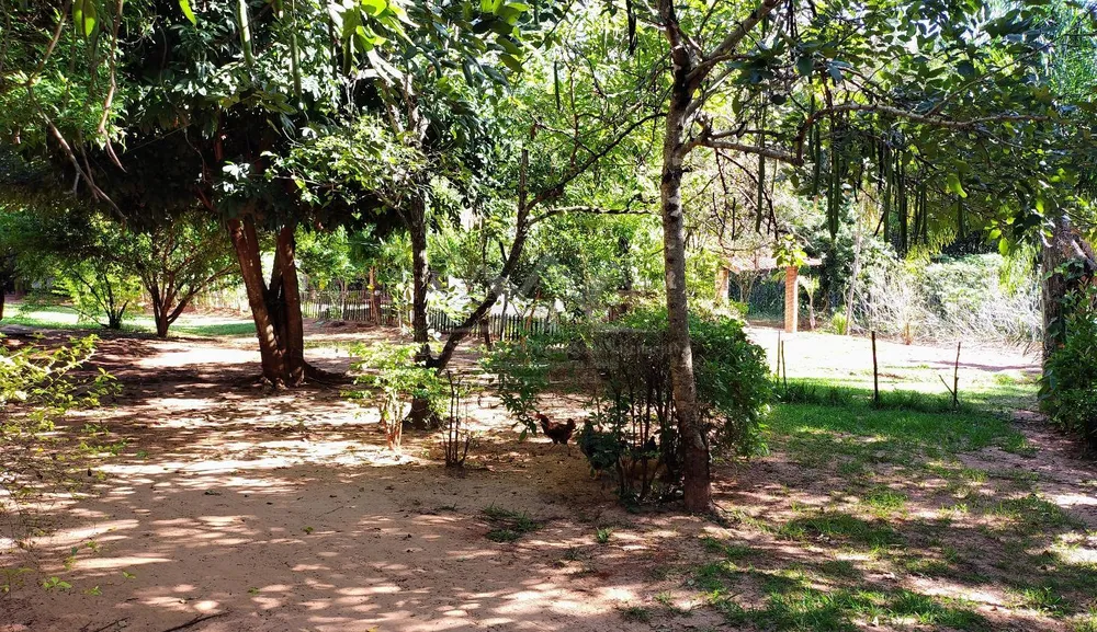 Sítio, 3 hectares - Foto 8