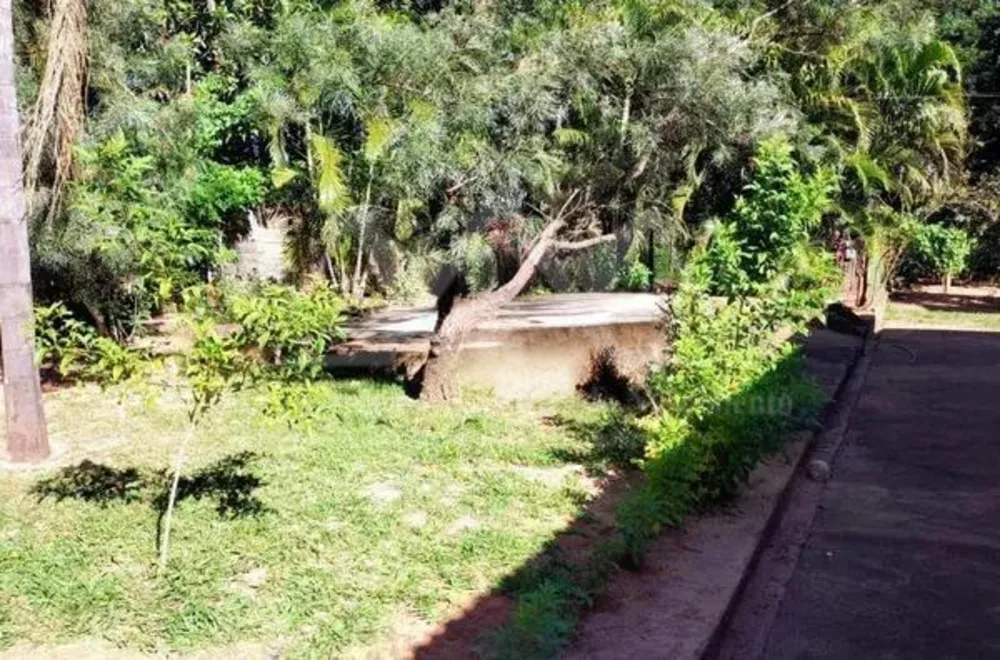 Sítio, 3 hectares - Foto 4