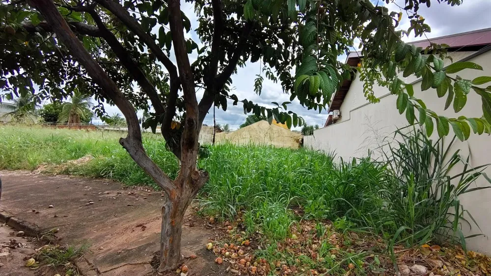 Terreno, 506 m² - Foto 2