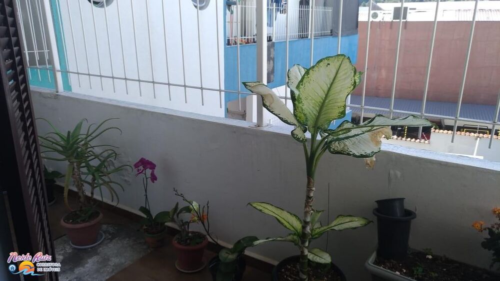 Apartamento, 287 m² - Foto 9