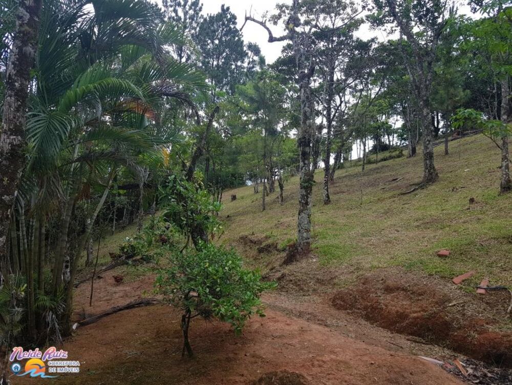 Chácara, 3 quartos, 40 hectares - Foto 11