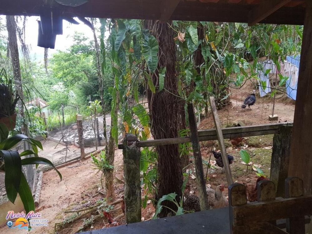 Chácara, 3 quartos, 40 hectares - Foto 3