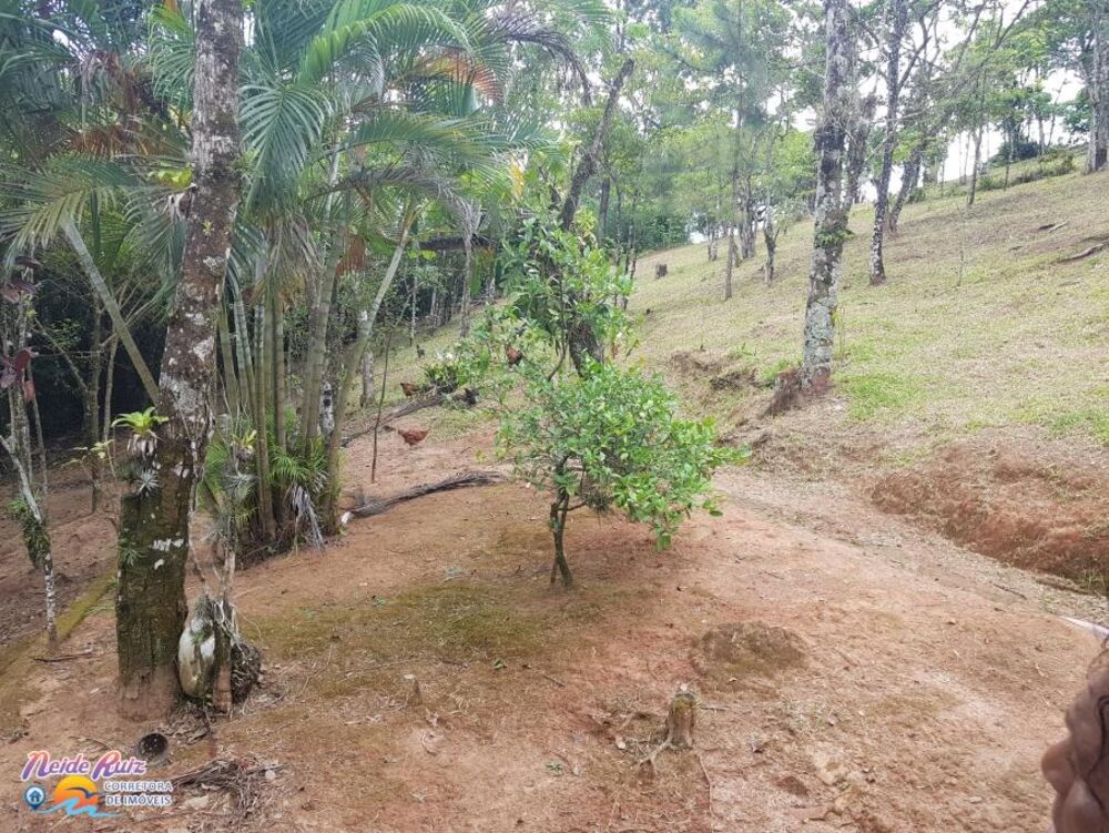 Chácara, 3 quartos, 40 hectares - Foto 10