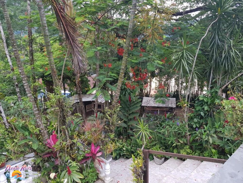 Chácara, 3 quartos, 40 hectares - Foto 7