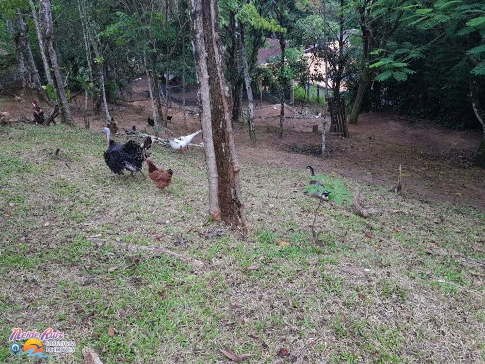 Chácara, 3 quartos, 40 hectares - Foto 12