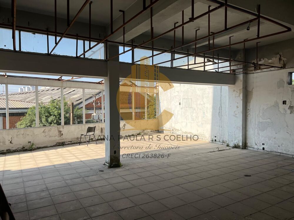 Sala-Conjunto, 350 m² - Foto 7