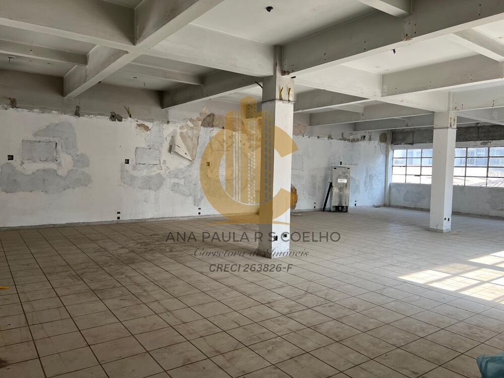 Sala-Conjunto, 350 m² - Foto 5