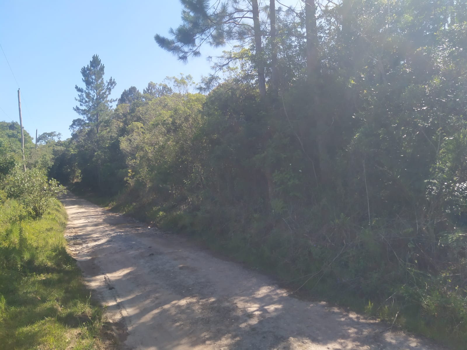 Terreno à venda, 18823m² - Foto 7